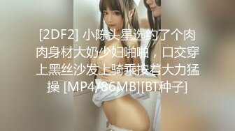 国产AV佳作MDS0008-痴汉尾行 硬闯公寓强上大奶骚女射在美胸上