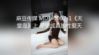 国产麻豆AV MD MD0174 换妻游戏 苏清歌 苏艾文(蜜苏)