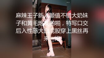 麻辣王子新人颜值不错大奶妹子和黄毛炮友啪啪，特写口交后入性感大白屁股穿上黑丝再来一炮