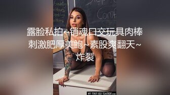 骚女车震