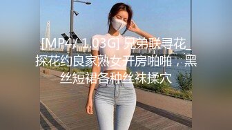 [MP4/ 1.03G] 兄弟联寻花_探花约良家熟女开房啪啪，黑丝短裙各种丝袜揉穴