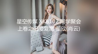 星空传媒 XK8102 同学聚会上卷之旧爱复燃 董欣(肖云)