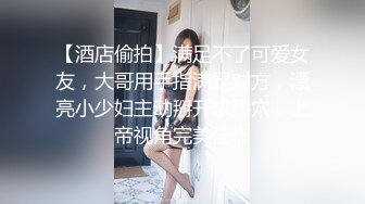 地铁上碰到高颜值气质美女姐姐真空没戴胸罩