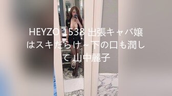 HEYZO 1538 出張キャバ嬢はスキだらけ～下の口も潤して 山中麗子