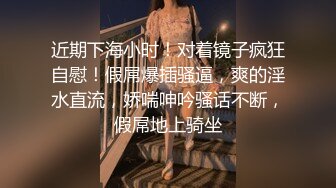 私房最新流出黑_客破_解家庭网络摄_像头偷_拍之刮毛舔逼在操逼3部