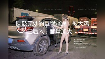 高端泄密流出富二代冒充摄影师给美女模特拍大尺度写真加藤鹰手法淫秽妹子私处草到大声淫叫