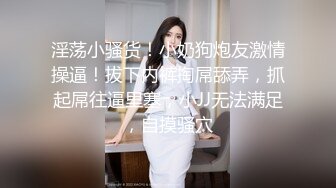 无敌少妇第一季