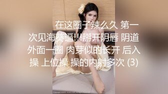 (愛豆傳媒)(id-5377)(20240104)身體力行的女推銷員-米蘭