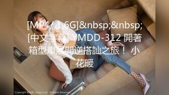 [MP4/ 1.6G]&nbsp;&nbsp;[中文字幕] YMDD-312 開著箱型車展開逆搭訕之旅！ 小花暖