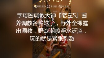 3D第4彈 國內大神自制：黑絲_兔女郎