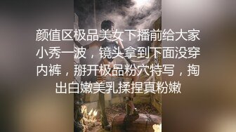 淫荡对白销魂呻吟，推特约炮大咖【夏次健】自传，调教爆肏巨乳肥臀小母狗，无套暴力输出肏到尖叫喊爸爸 (14)