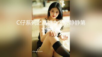 高清无水印珍藏版 高铁女神乘务员和靓丽的女乘客 (6)