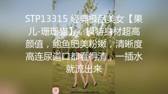 靓丽美妻谜樂摧晴樂听哗各种效果都有货