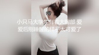 SWAG 上最专业长片 饥渴人妻取悦旅行 [中文字幕] Adababy