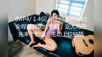 《魔手外购极品厕拍》商业城女厕全景偸拍多位少女少妇熟女方便，后位先拍脸再拍大白屁股，憋尿到极限的良家少妇动作逗死人 (5)