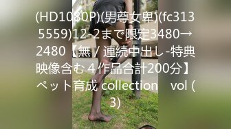 (HD1080P)(男尊女卑)(fc3135559)12-2まで限定3480→2480【無／連続中出し-特典映像含む４作品合計200分】ペット育成 collection　vol (3)