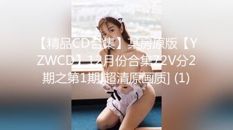 【精品CD合集】某房原版【YZWCD】12月份合集72V分2期之第1期[超清原画质] (1)