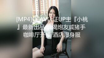 STP31136 国产AV 起点传媒 性视界传媒 XSJTC07 报复高傲女上司 羽芮(坏坏 林沁儿 芳情)