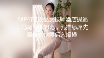 你的可爱小女仆已上线