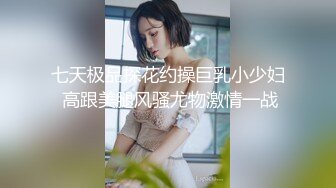 国产麻豆AV 爱豆 MAD026 花田性事 倪哇哇