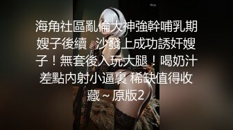 母狗系列 继续骚穴的展示