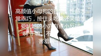 【新片速遞】&nbsp;&nbsp;漂亮伪娘 啊好爽 被直男小哥哥吃小鸡鸡舔骚穴 后入无套猛怼 高潮迭起抽搐 内骚 [560MB/MP4/17:40]