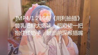 [MP4/1.23GB]《用利抽插》豐乳肥臀大奶妹，超短裙一把抱住揉奶子，鏡頭前深喉插嘴