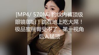 ✨华人网黄刘玥闺蜜「Fanny Ly」「李月如」OF私拍 穿情趣内衣在公共卫生间玩玩具自慰出白浆