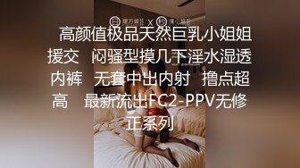 顶级骚妻反差网红！推特喜欢露出又喜欢多P的绿帽人妻【小骚猫咪】私拍，户外露出与单男造爱怀孕了也不休息 (12)