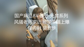 国产麻豆AV 番外 无套系列 人妻NTR 吴梦梦