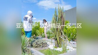 亚洲 国产 欧美精品一区二区