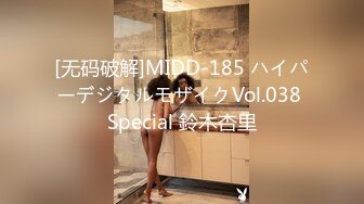 [无码破解]MIDD-185 ハイパーデジタルモザイクVol.038 Special 鈴木杏里